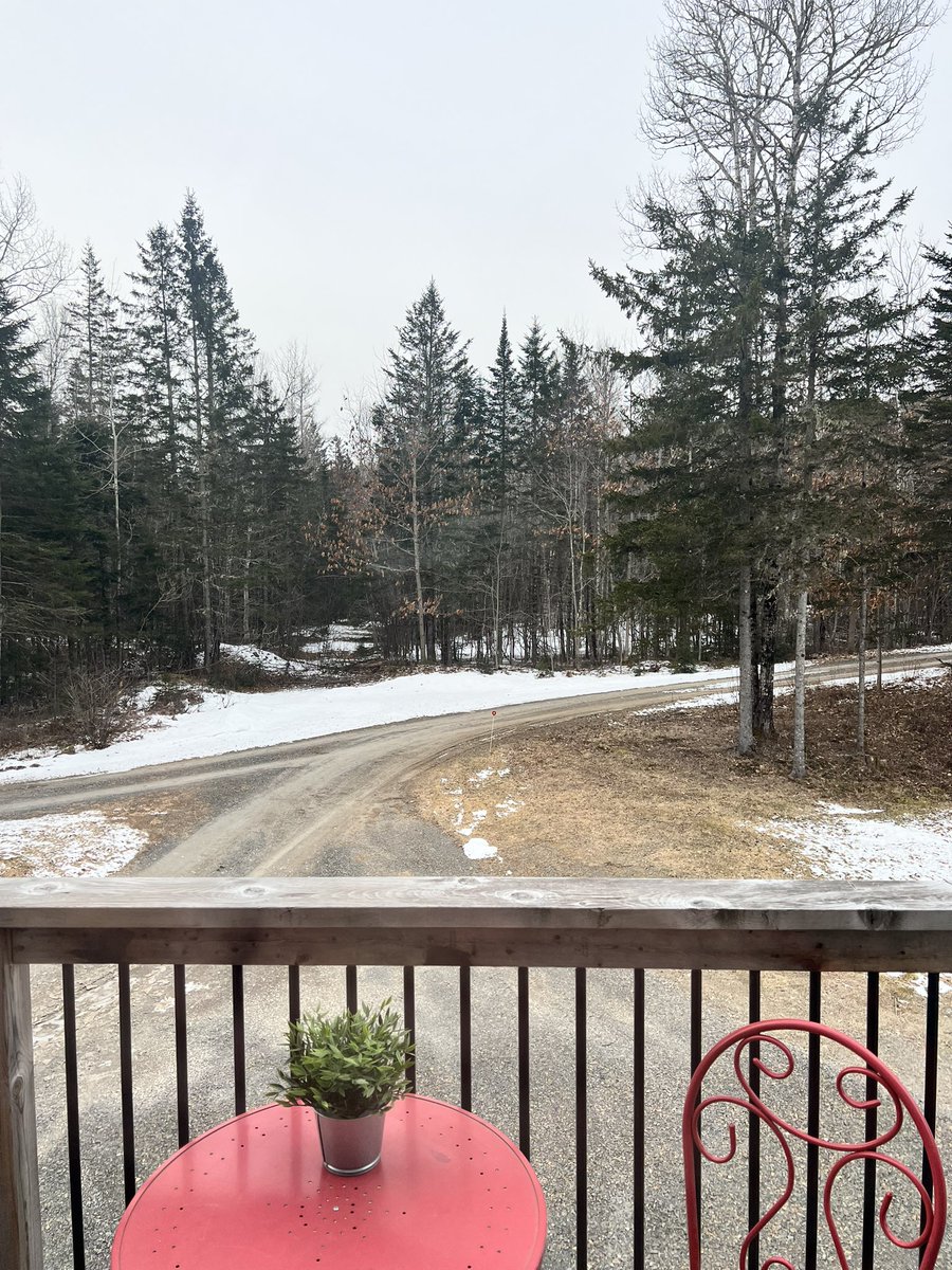 Trevor Kerr tweet media