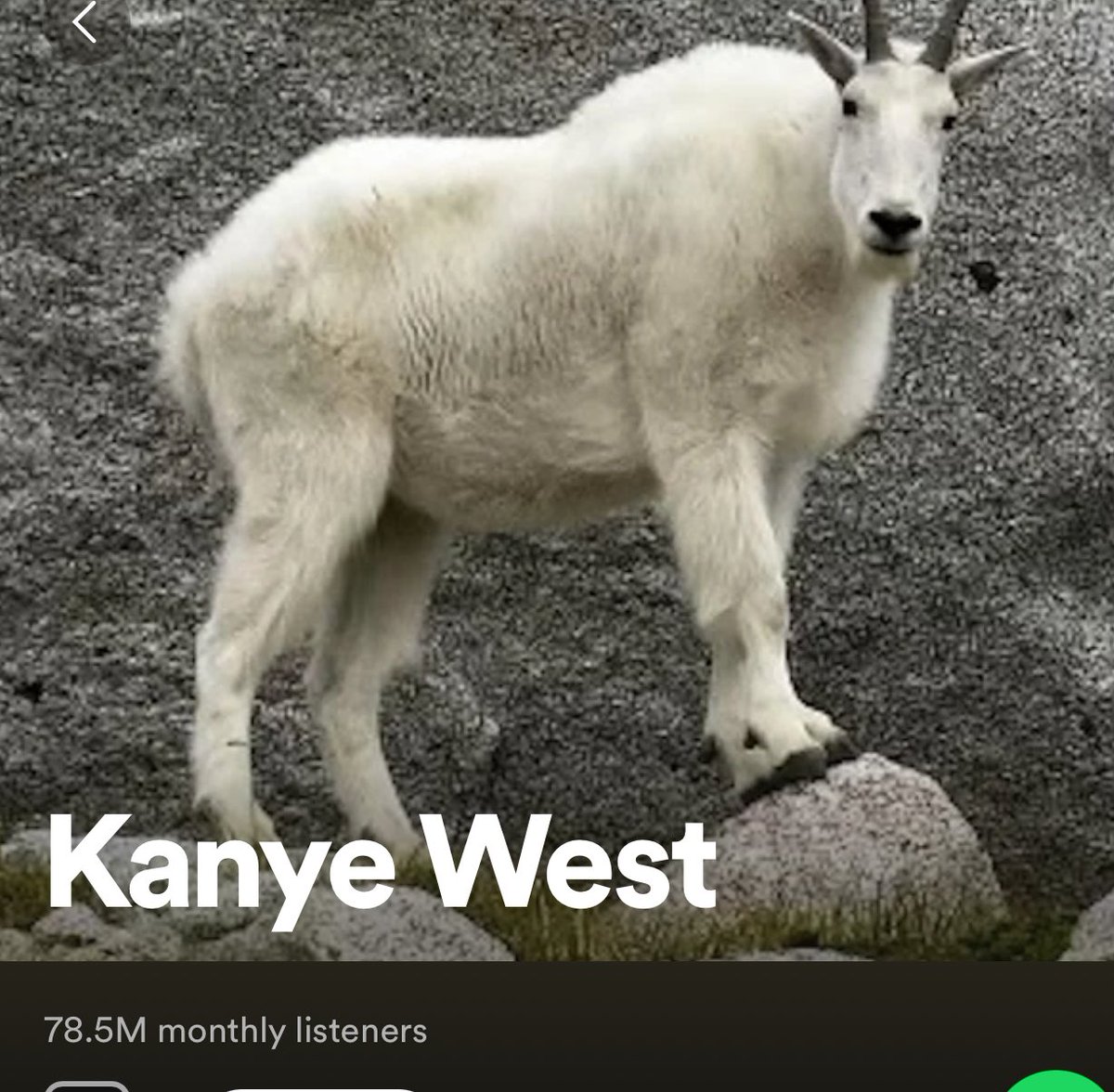 kanyestreams1 tweet picture