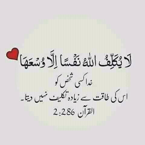 Sameer Khan (@SameerKhan41327) / Posts / X
