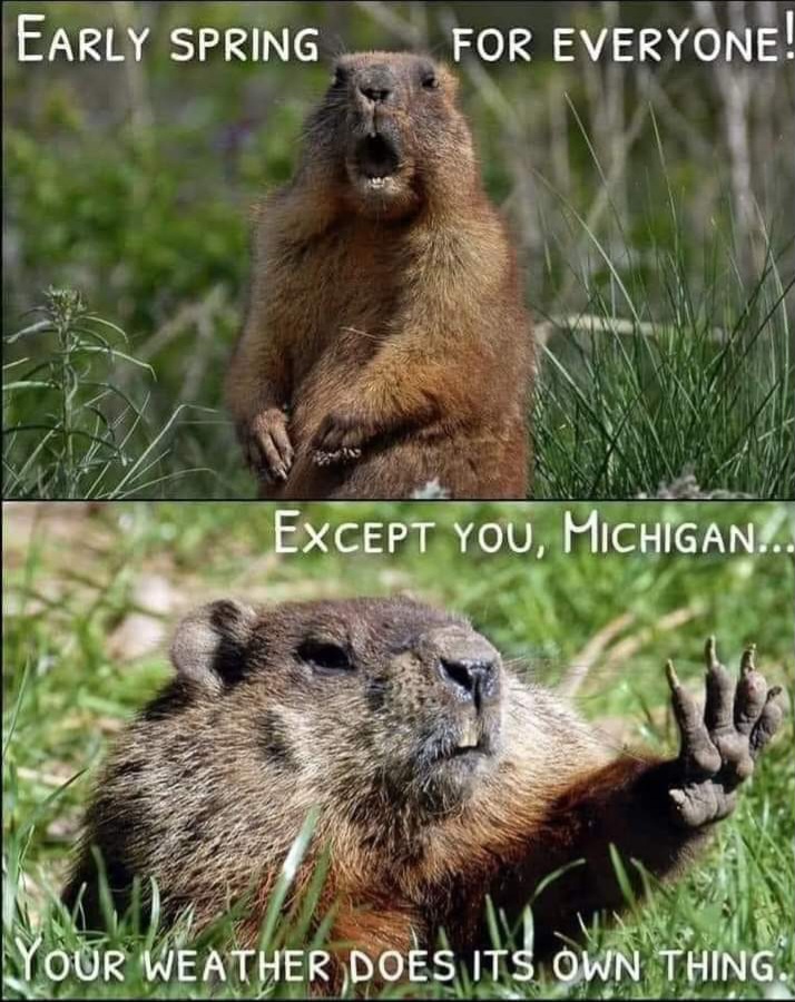 MINewsSource's tweet image. ❄️ Winter isn't going down without a fight!🧊
#michiganweather
For 👇 More Michigan News
michigannewssource.com