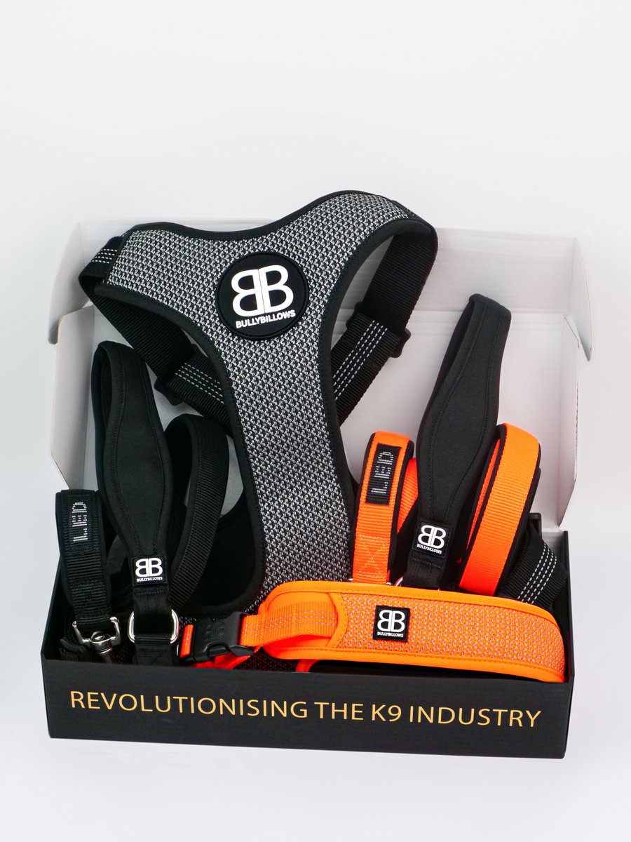 BullyBillows tweet media