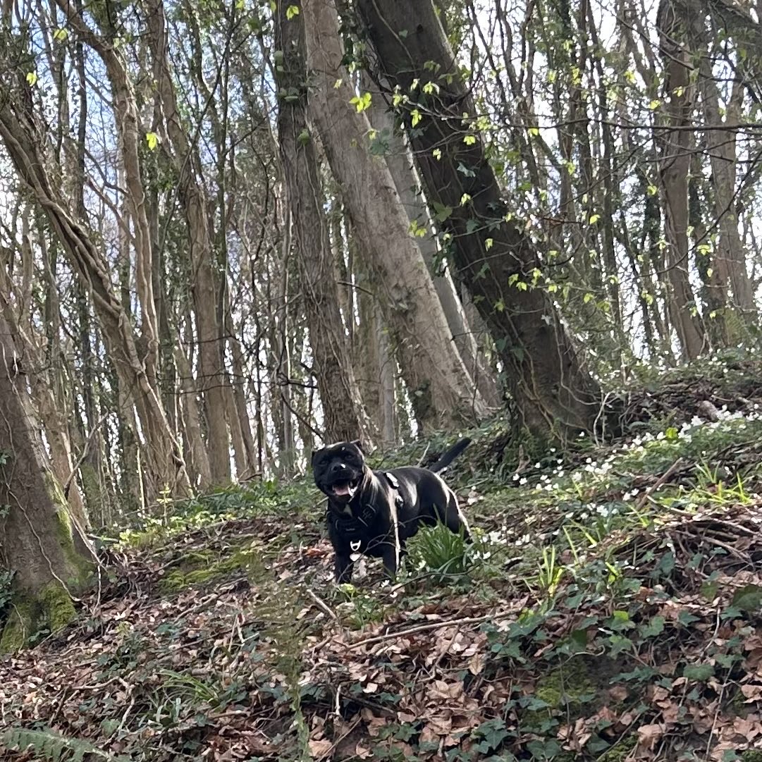 Baby Frank & his teddy, Edward 🧸🏴󠁧󠁢󠁷󠁬󠁳󠁿 tweet media