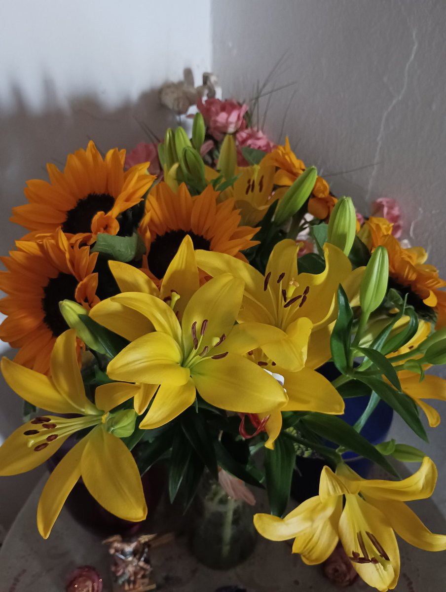 corymrtnz's tweet photo. Sigo sin superar el pedazo de ramo que me regaló mi novio 🥺😍❤️‍🩹💖 https://t.co/dcaImelOgI