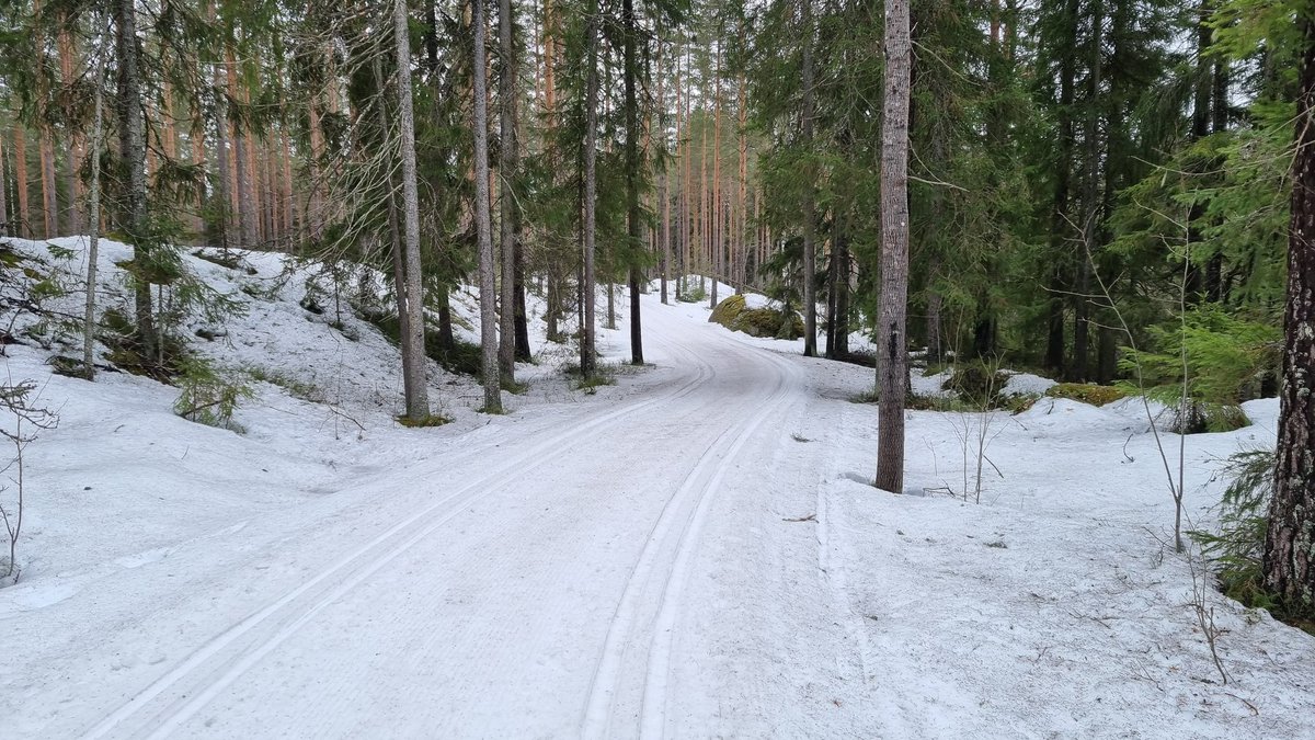 Hynkänlampi, Espoo, Finland. #xcskiing