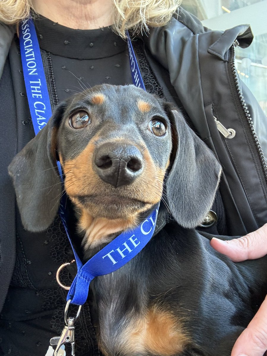 We had a lovely time at the #CA2024 conference yesterday. Big thanks to the conference organisers from me (and Mabel!)