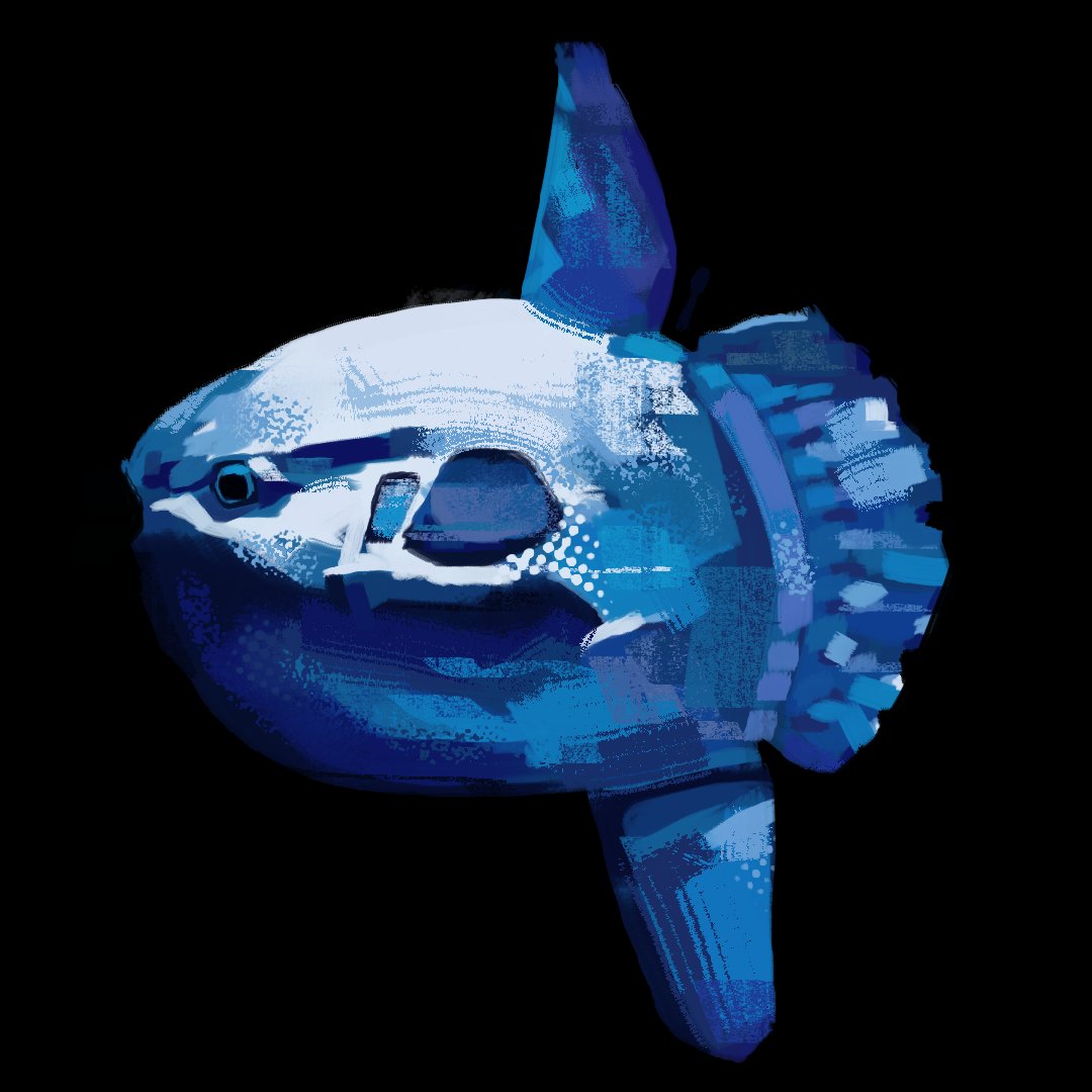 post a sunfish when they least expect it