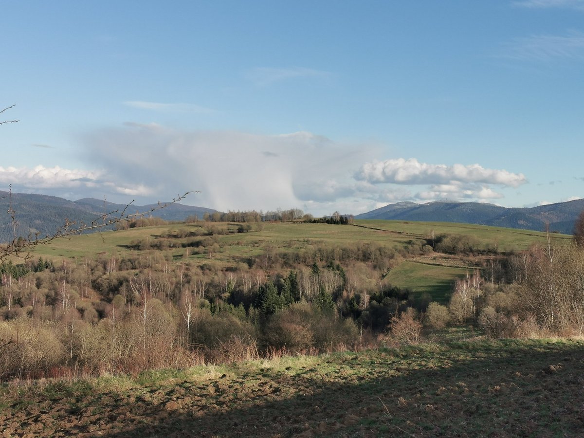 GorBurzan's tweet image. To nie jest biały, niewinny obłoczek, to worek ze śniegiem ❄️❄️❄️
Na pierwszym już gdzieś w sadecki pognał. 
Na ostatnim świeżo obsypany #Gorc
#Gorce #Poland