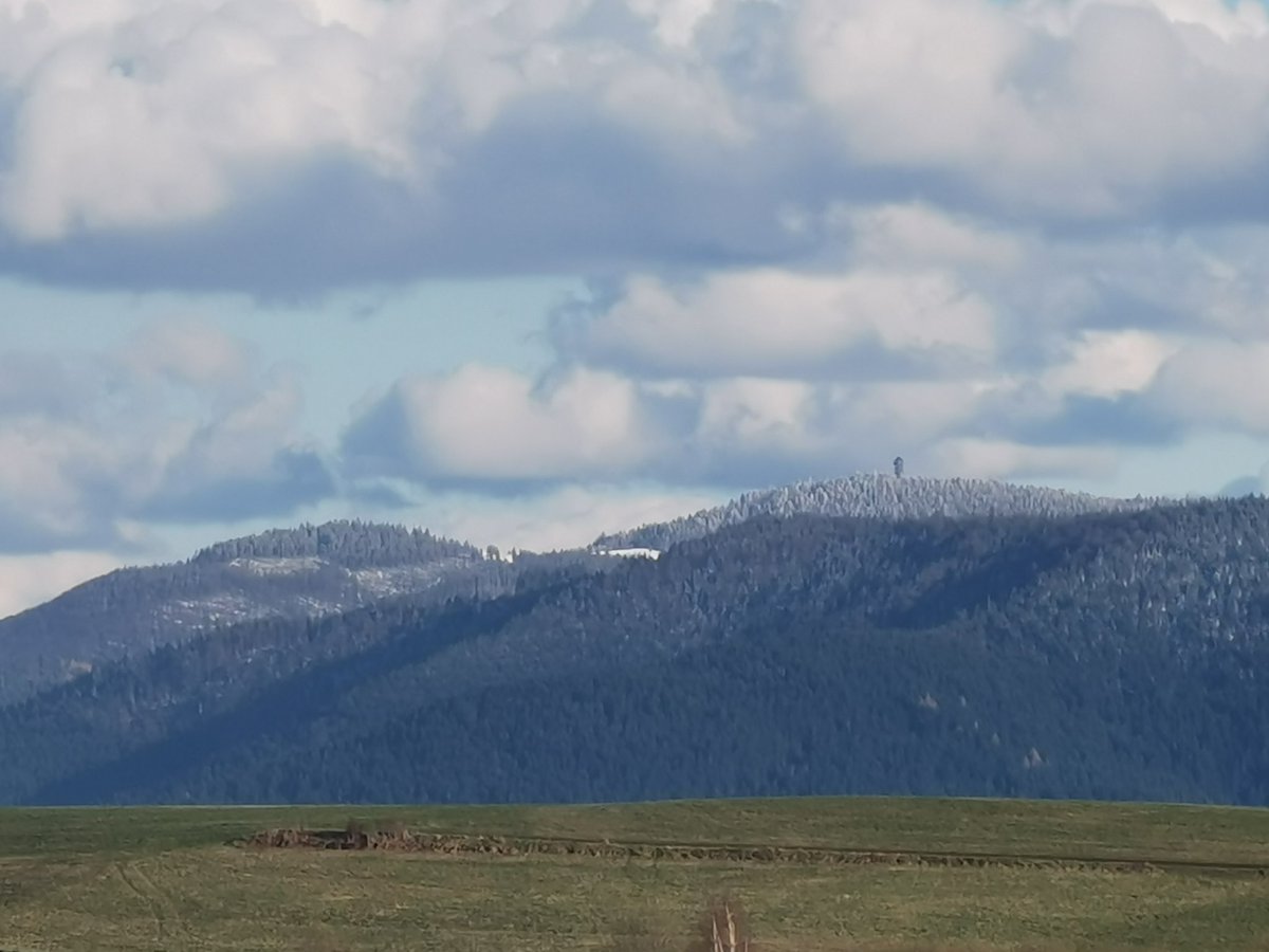 GorBurzan's tweet image. To nie jest biały, niewinny obłoczek, to worek ze śniegiem ❄️❄️❄️
Na pierwszym już gdzieś w sadecki pognał. 
Na ostatnim świeżo obsypany #Gorc
#Gorce #Poland