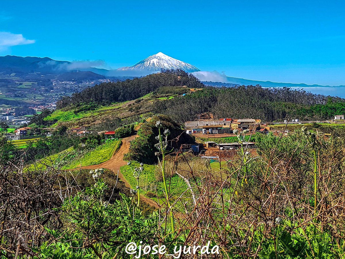 Que ganas tenía de verlo así...

📸Jose_yurda

#vendevisitaatenerife #tulugardeescape #islascanarias #tenerife #Tenerifeesvida #DescubreTenerife