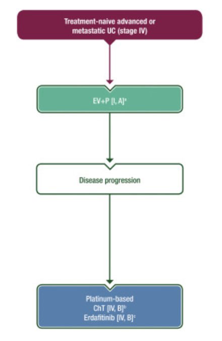 Tom Powles tweet media