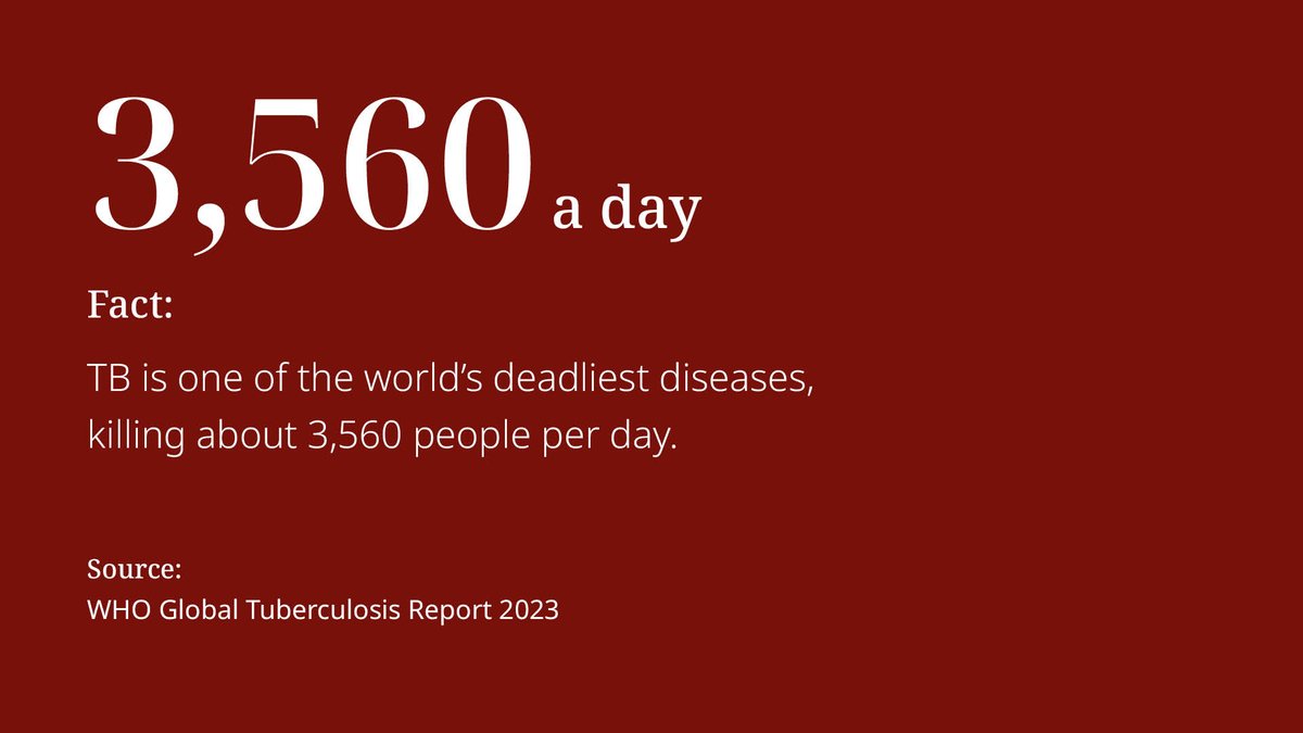 About 10.6 million tuberculosis (TB) cases are reported worldwide each year and 3,560 people die of the disease each day. On this #WorldTBDay, learn more about our work to reduce the burden of TB globally: gates.ly/4argWXZ