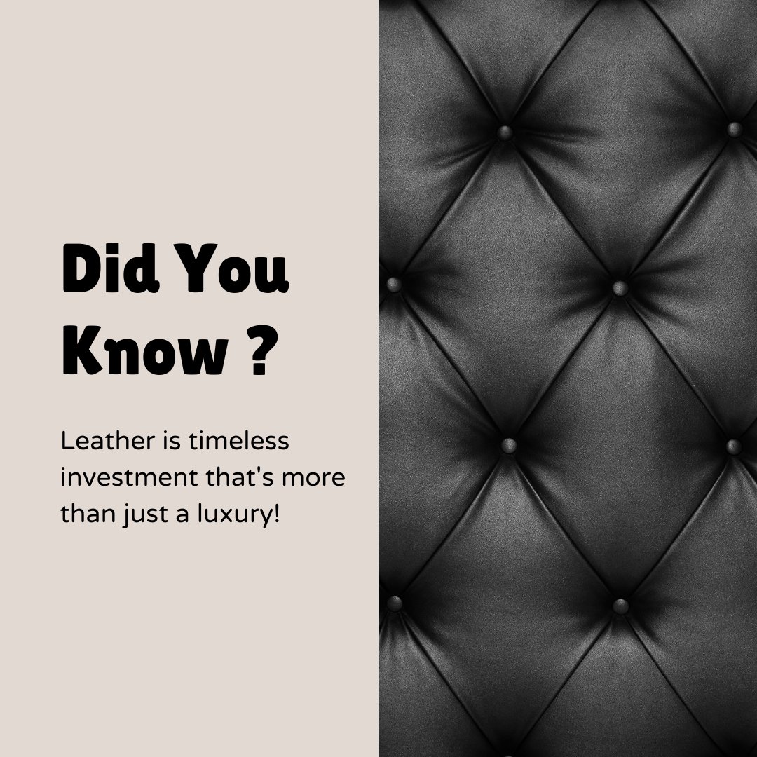 URAD43238635's tweet image. 🛋️ Leather furniture isn't just luxury – it's a timeless investment! 😍 At Urad, we bust myths: natural aging adds stunning patina, making it more beautiful over time. Affordable, durable, and for everyone!

 #naturalaging #smartvalue
