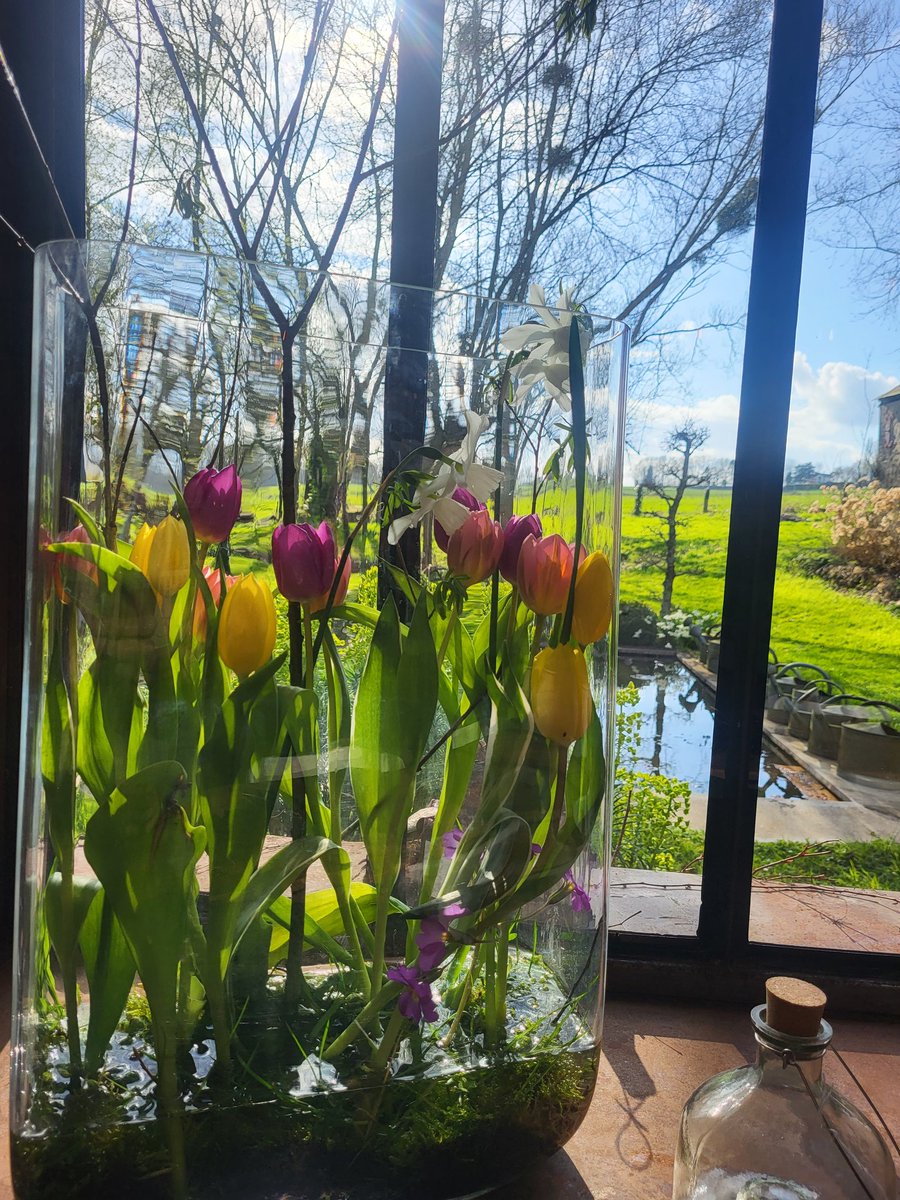 #Printemps2024 au Perche 🧡🪻 peace,beauty &amp; colorfull