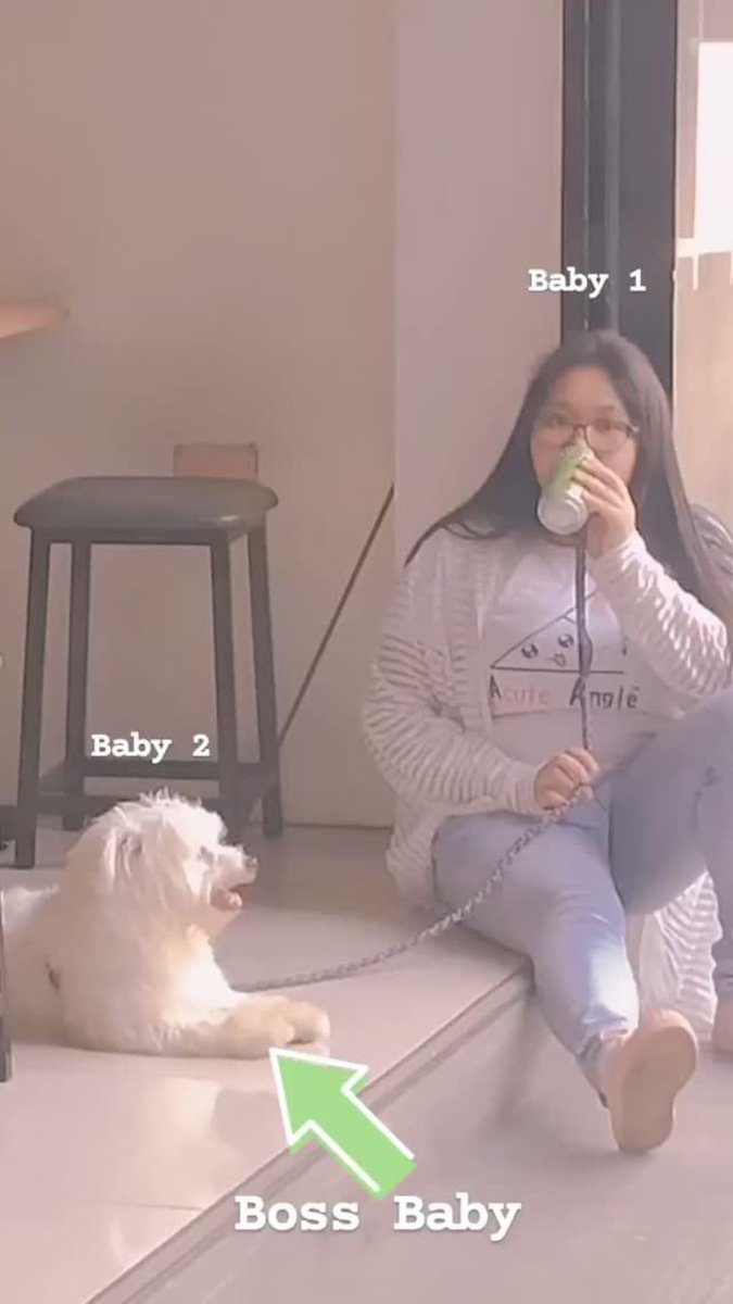 ceecee18ny's tweet image. My children 😍🥰❤️🐶😊
#OnThisDay #TwoYearsAgo #Ally #Apollo