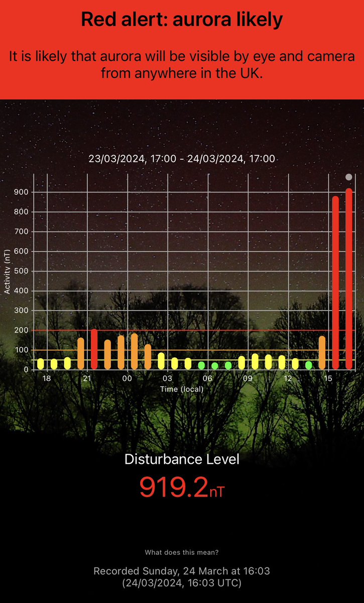 Foxes Afloat tweet media