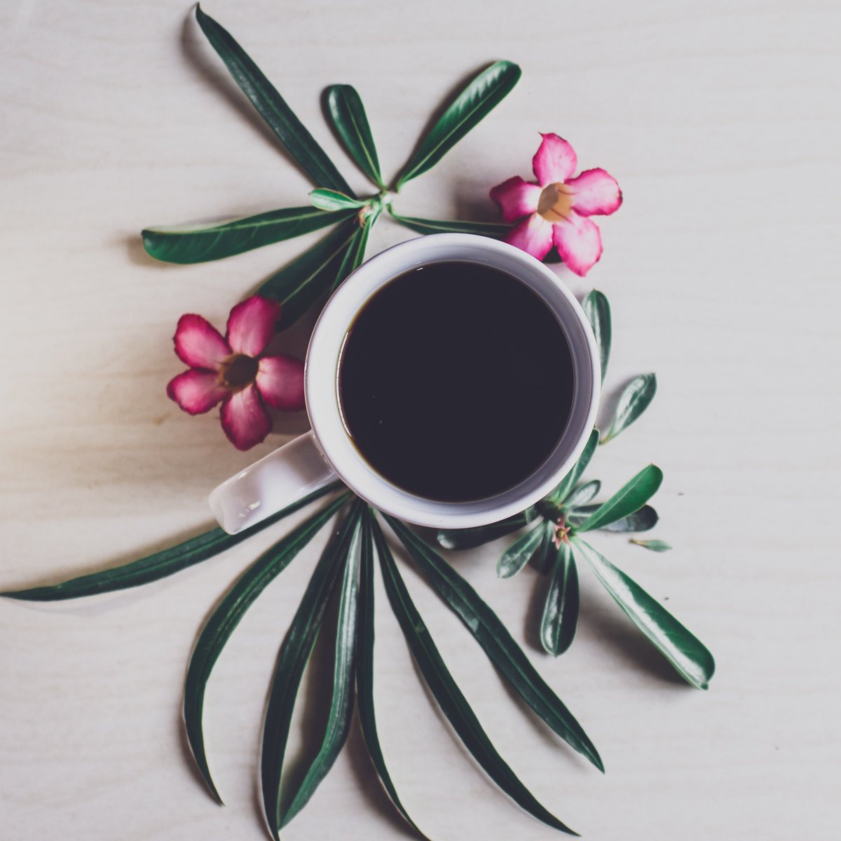 DakotaRoasters's tweet photo. Today is the last day of the Spring Themed Roasts sale!

10% off Flickertail Blonde, Wild Prairie Rose, and Juneberry!

Visit https://t.co/SteFnzk3YL to place an order!

#coffee #smallbusiness #shopsmall #shoplocal #coffeetime #northdakota #coffeelovers https://t.co/ZfQoajlnTG