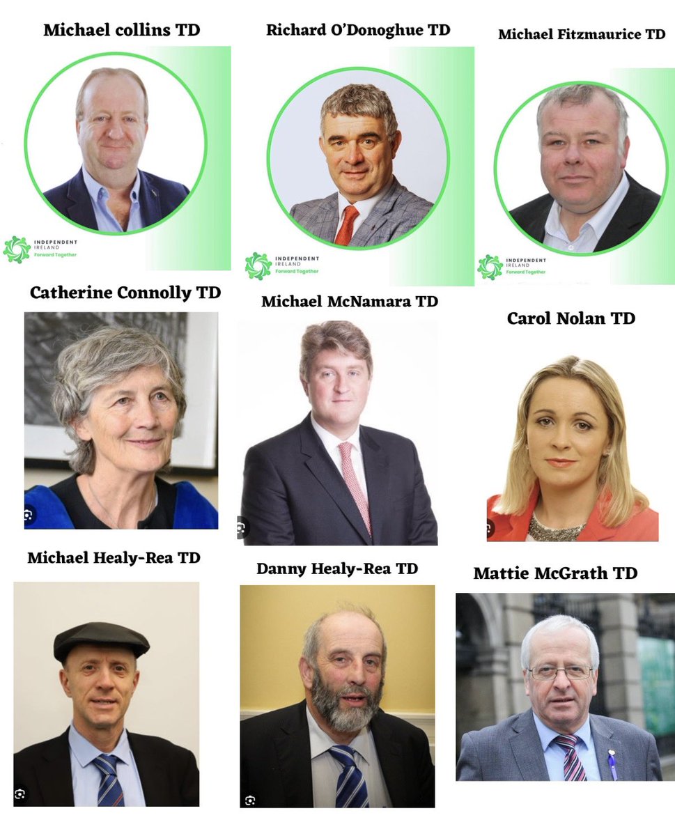 mullallyelaine's tweet photo. There were only nine Independent TD’s who voted against the hate speech legislation! This is who they are, these people represent us! 🙏🙏 https://t.co/XMfOfZFzco
