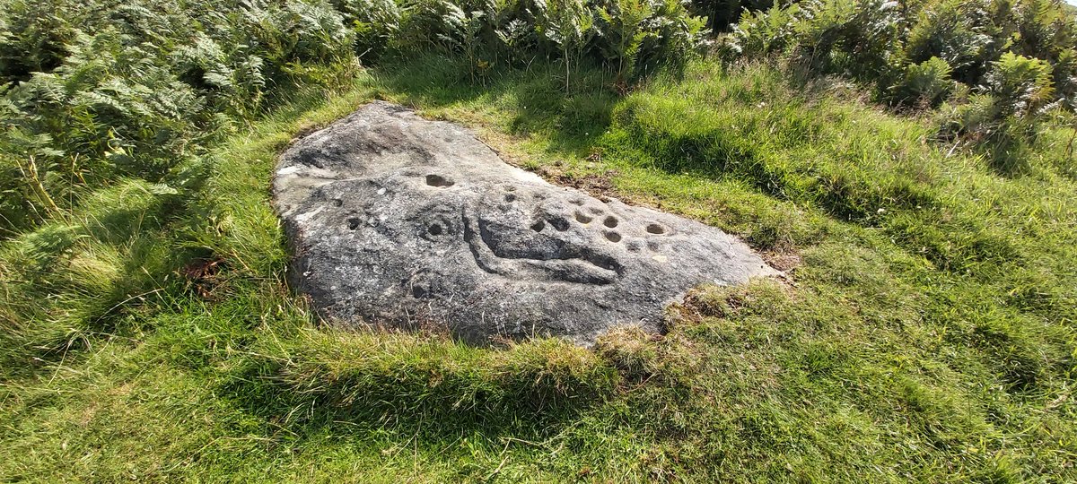 #Standingstonesunday Rock art at Lordenshaw Moor