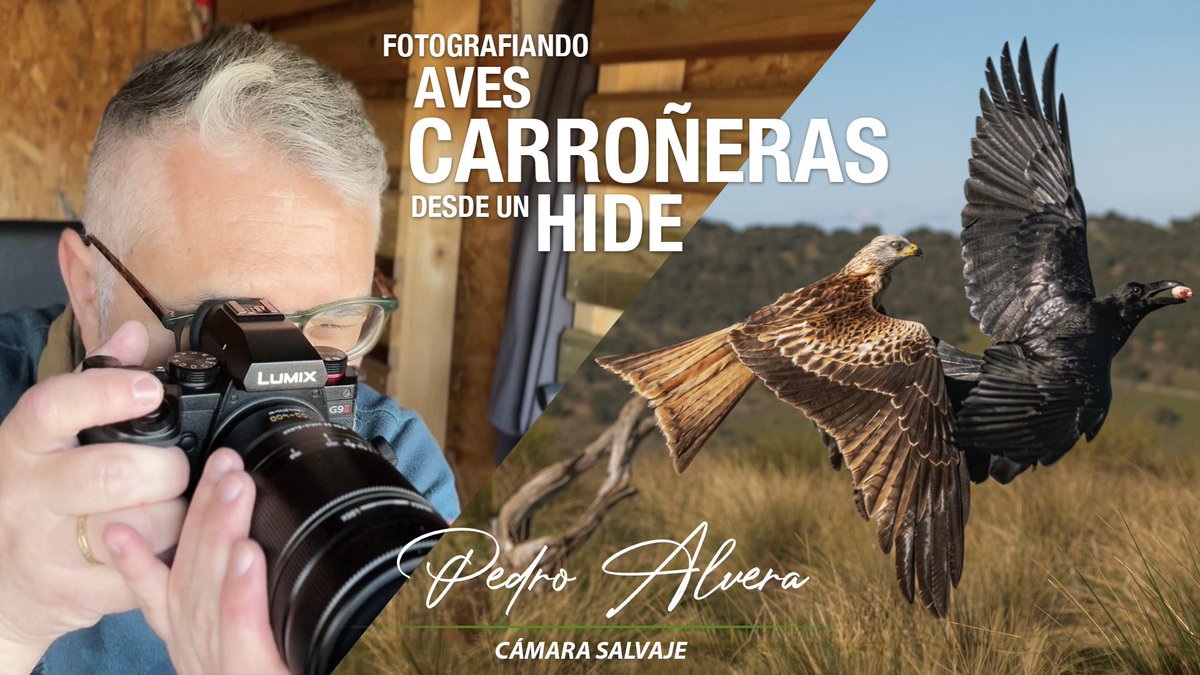 Allá va un nuevo episodio de Cámara Salvaje. Esta vez visito un hide de aves carroñeras. Disfruté como un crío 💚

youtu.be/4yMnuPwg2IM