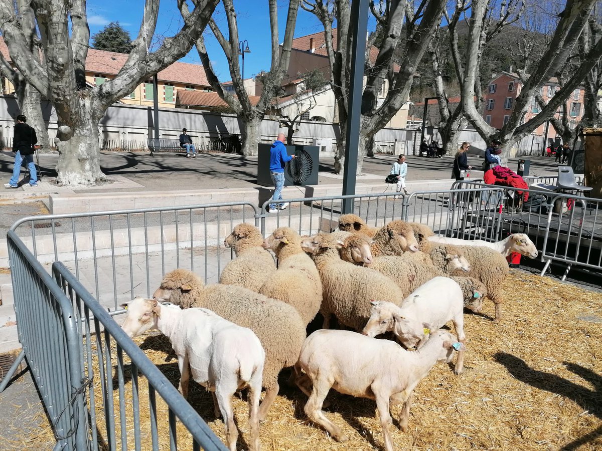 Haute-Provence Info tweet media