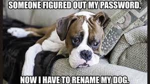 Cloud_Breach's tweet photo. When your password is too tail-waggingly obvious. 😅 Time for a new paswd - and maybe a new name for the pup?  🔐

#CloudBreach #meme #infosec  #sundayvibes #Cybersecurity #PasswordHumor https://t.co/lIZy8cr4Xk