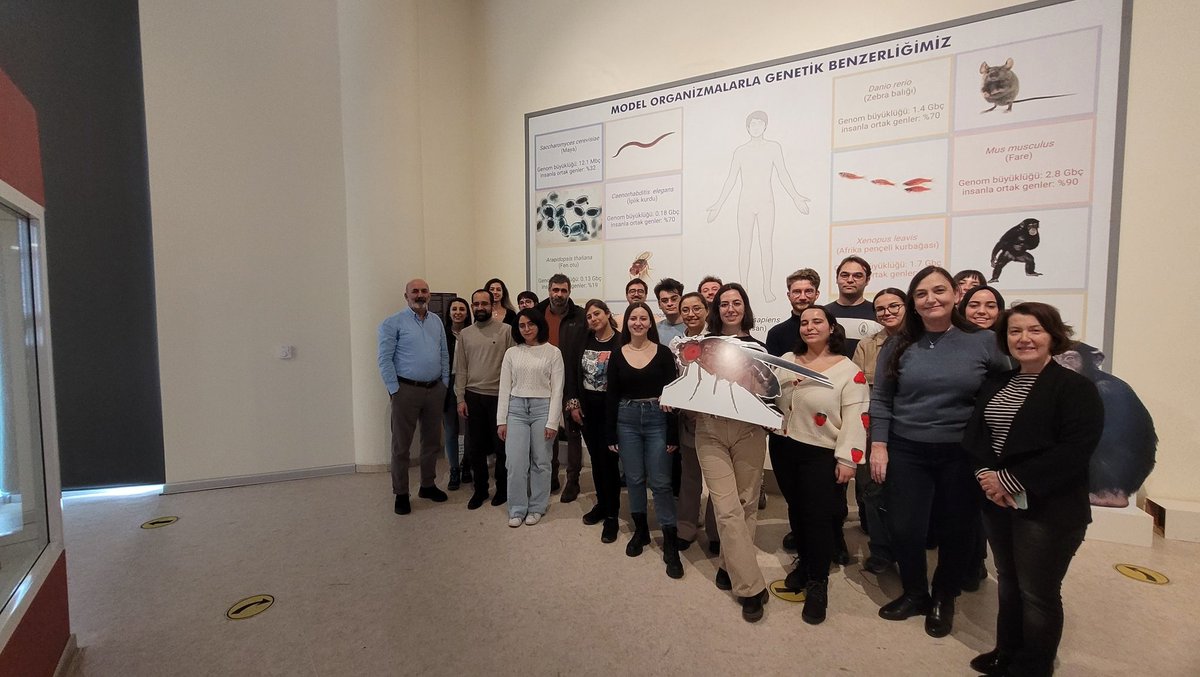 droso_turkey tweet media