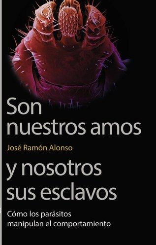 elzorrotacneno's tweet photo. Los parásitos son demonios.
Un pequeña digresión: La próxima semana no voy a postear, me he comprometido a realizar 70 consultas personales con ustedes, así que me dedicaré a ello.

Los parásitos. 
la ciencia actual está en pañales con relación a la microbiología, referencias científicas nos hablan que solo conocen el 8% del mundo parasitario, es decir nada.

Desparasítense.
Lo repetiré las veces que sea necesario, hasta despertar conciencia. 
Los parásitos son demonios que toman posesión de nuestro cuerpo y manipulan nuestro comportamiento, para realizar cosas que atenten contra nuestra propia salud. 
La obesidad, el alcoholismo, las obsesiones por determinados alimentos y sabores, los comportamientos sexuales antinaturales, todos estos comportamientos son provocados por parásitos. 
Por eso, el objetivo principal en su vida, señora, señor, joven que lee esto es: DESPARASÍTENSE. Los médicos saben que el 95% de las enfermedades son parasitarias, pero no lo pueden decir porque les quitan la colegiatura. Guardan silencio para seguir vendiendo pastillas por cada dolencia. 
DESPARASÍTENSE. 
He publicado mas de 100 modos de desparasitación.  
Ingrese en la lupa de EXPLORAR en mi cuenta y use el modo de desparasitación que mas le convenga, pero hágalo. 
DESPARASÍTENSE.
