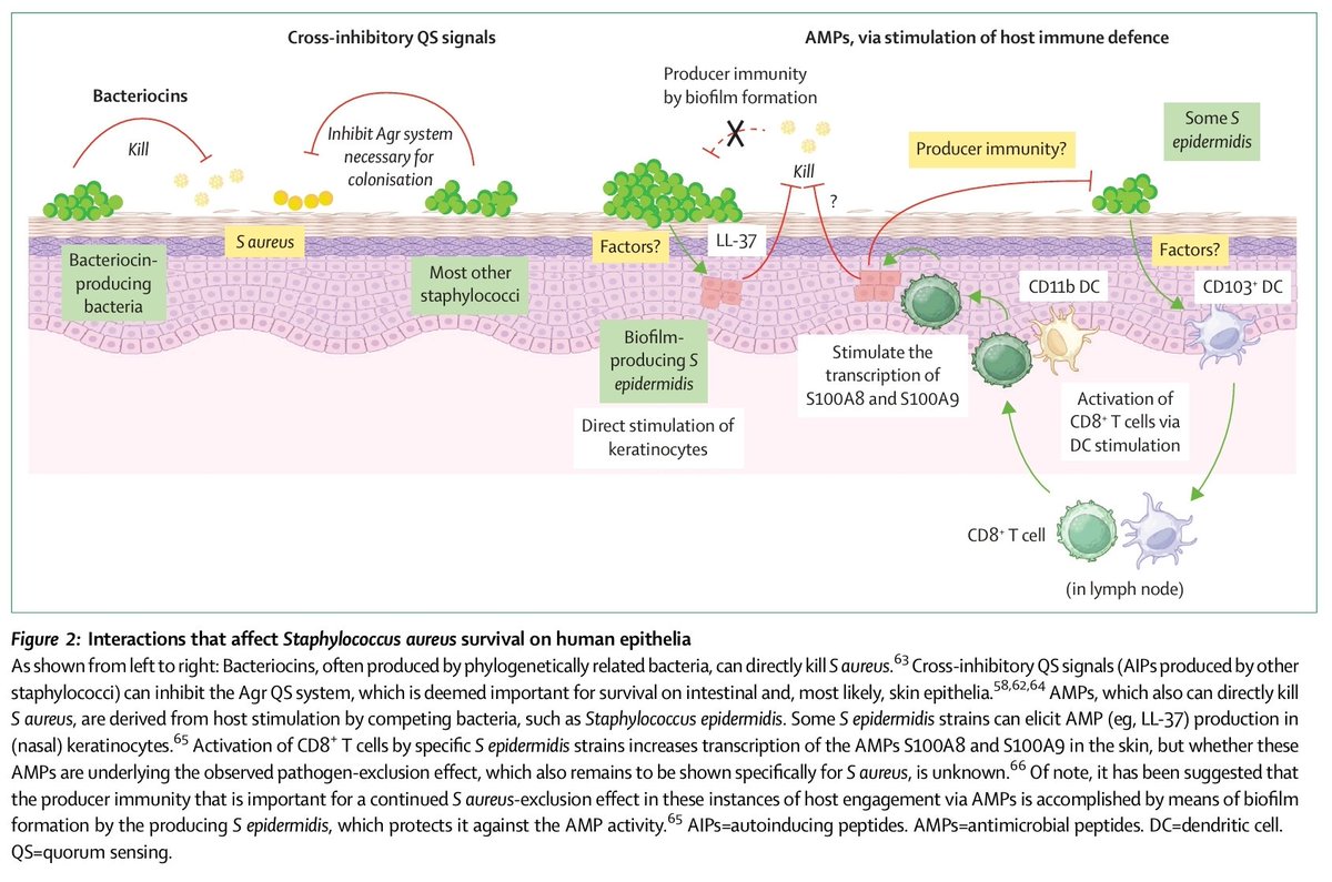 melarsoprol7 tweet picture