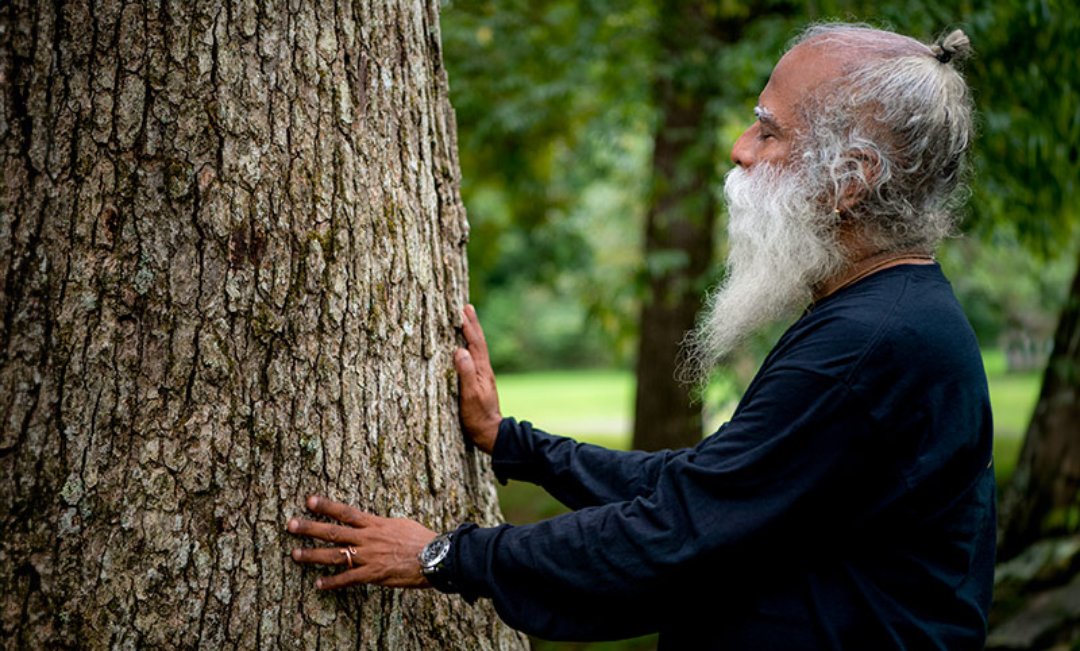 MaronMary76009's tweet image. «No hay sustituto para los Bosques. Estos ricos ecosistemas han prosperado sin nuestra intervención durante millones de años. Ya es hora de que dejemos de explotarlos».

-Sg

#SadhguruEspañol #FrasesDeSadhguru #Frases #FelizJueves #Bosques #SalvemosElSuelo