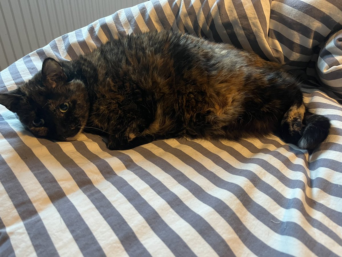 Beth Routledge tweet media