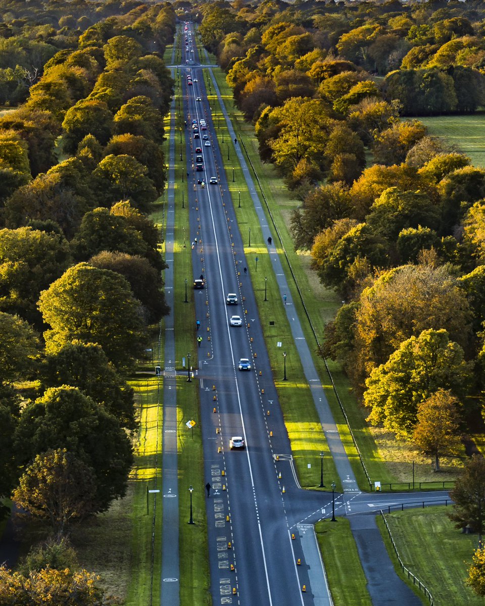 Chesterfield Avenue, Phoenix Park 🌳 (Fun Fact: To get permission to shoot in the @phoenixparkOPW, two @gardainfo detectives visited us in our office to question us 🚨👮)