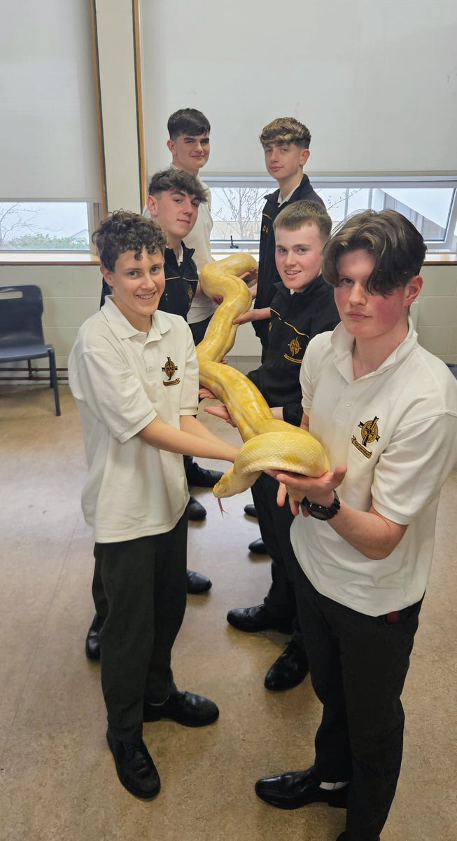 The Reptile Heaven Workshop 🐢 took place on Thursday and it was an amazing experience for all our students in D3 🐍🦎 @tyhub_ie Thank you very much Mélanie and team 😁 @ClonkeenSchool @ERSTIRELAND @YourTYNews