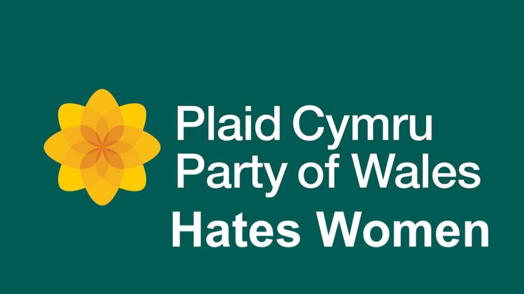 EvadneDr's tweet photo. @llinos_medi @Plaid_Cymru #DimDiolch https://t.co/4PIz3QTRFG