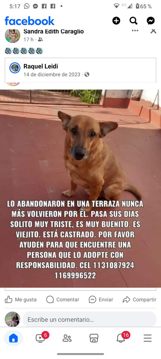 María Rosa (@mararos37411865) on Twitter photo 