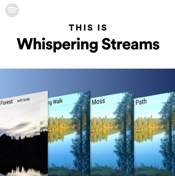 What a lovely surprise! Spotify made this playlist for me, thank you! 🎶 #playlist #ambient #naturesounds #composer #pianist #artist #originalmusic #spotify open.spotify.com/playlist/37i9d…