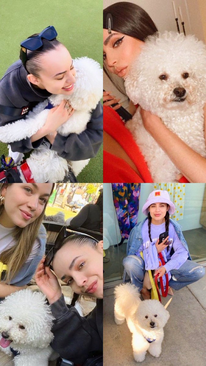 archivecarson's tweet image. sofia carson and joey appreciation tweet