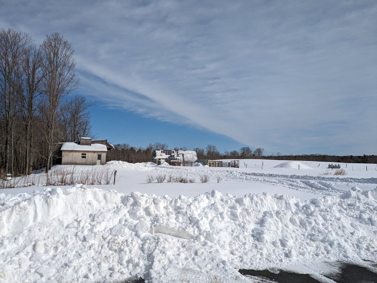 ChickenJen's tweet photo. Winter finally arrived in Maine. Better late than never! https://t.co/KBK1UDMYbT