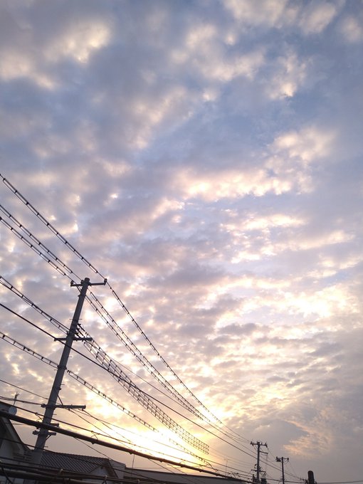 「太陽 夕焼け」のTwitter画像/イラスト(新着)