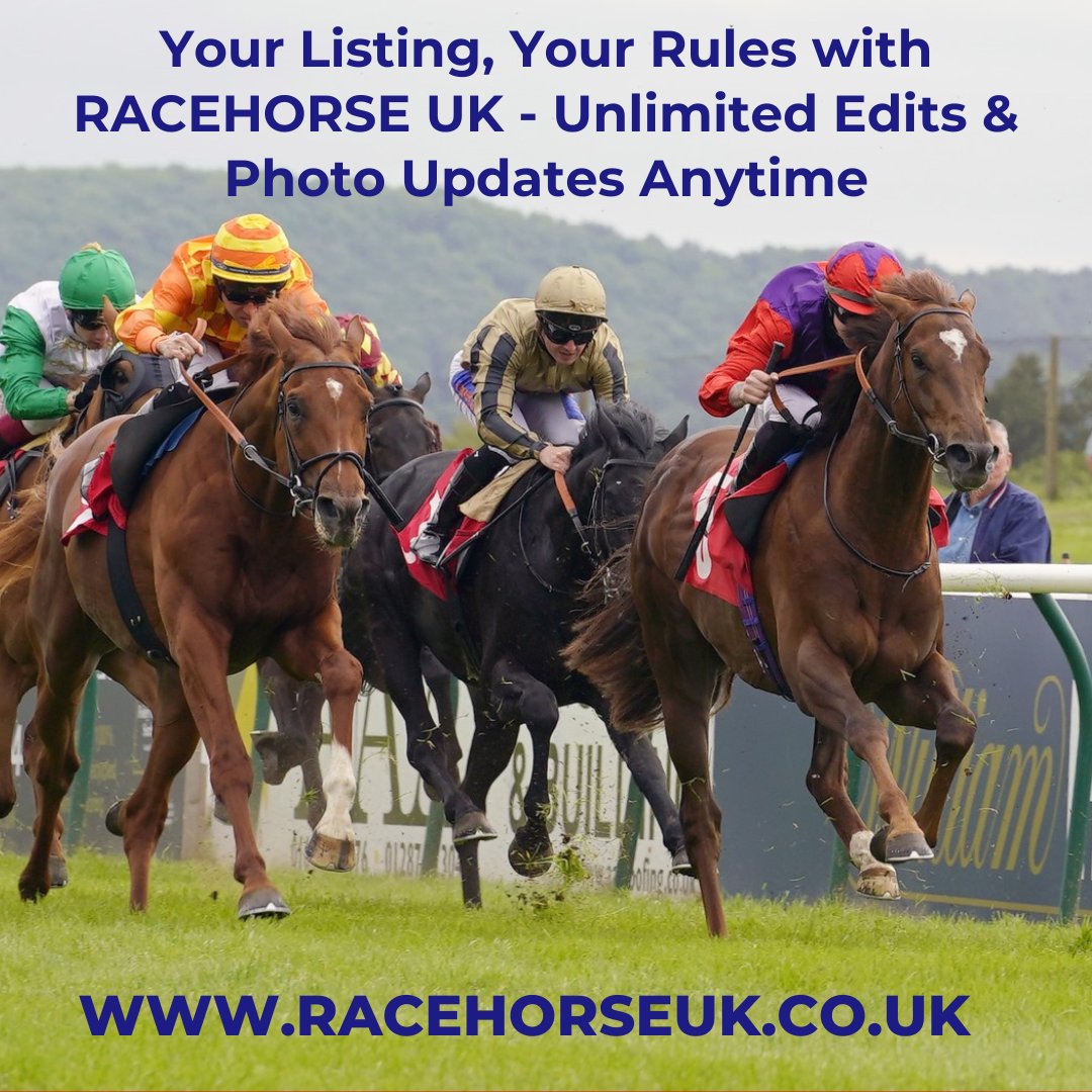 This is why we are Leading the Way - Racehorse UK.  🏇 🥇   racehorseuk.co.uk  🏇 🥇#racehorseownership  #racingsyndicates  #horseracingclub  #horseracing  #syndicateshares  #dayattheraces  #retiredracehorses