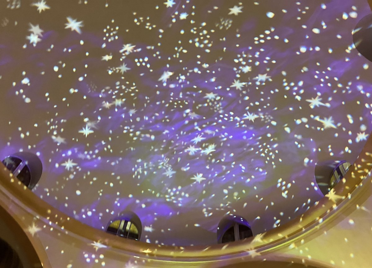 janemhealy's tweet photo. @DailyPicTheme2 The #domedceiling of a church on Christmas Eve #DailyPictureTheme https://t.co/2RJg6iAwOq