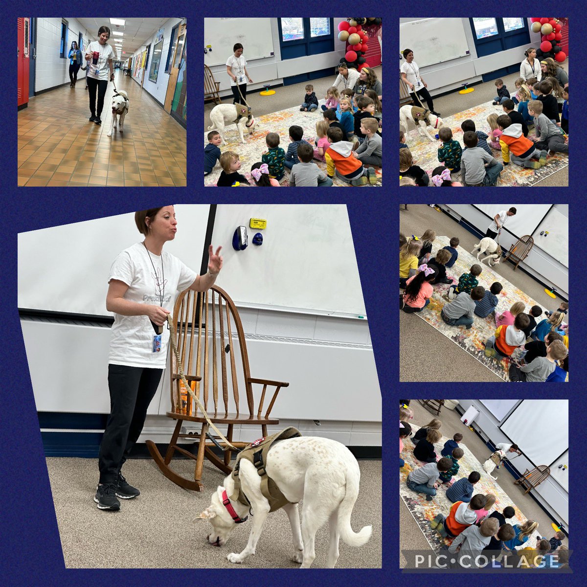 Joanie Donohue tweet media