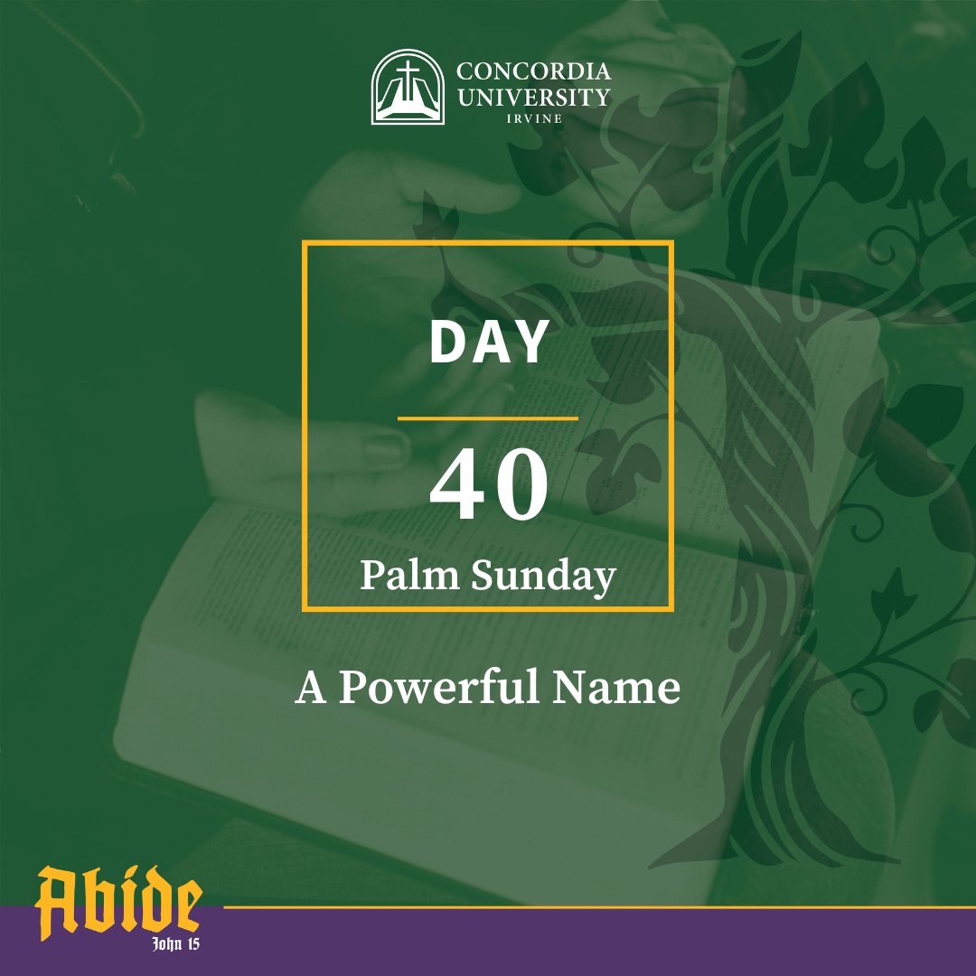 abbeywest_cui's tweet photo. Throughout John’s Gospel, Jesus has invoked the very personal and sacred name of God, “I Am,” to refer to himself.
To discover more, read today's Lenten Devotion here https://t.co/UP6PzejzEL https://t.co/6CzHn0dbTs