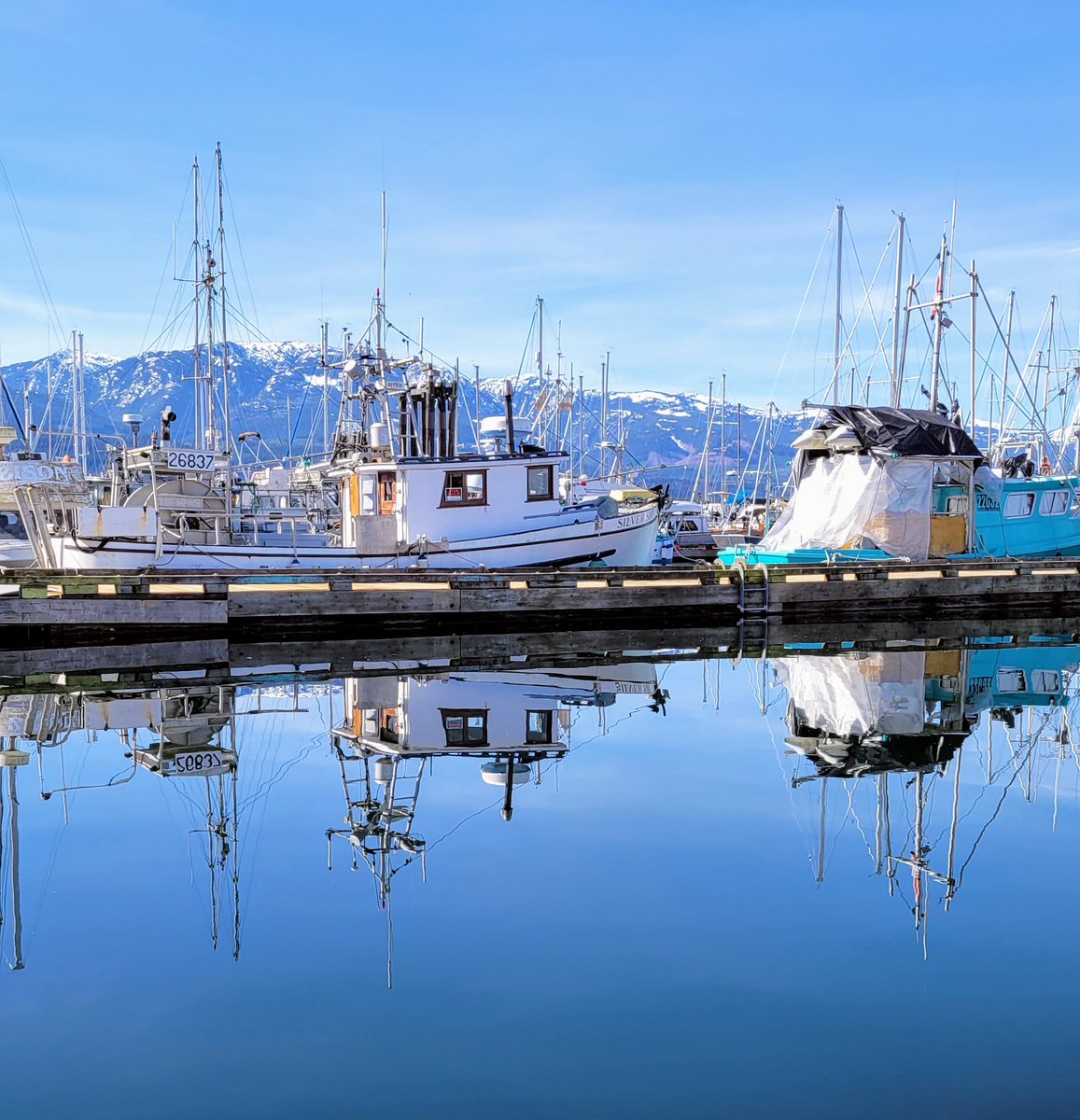 Happy #Sunday #VancouverIsland 😎Here’s your #Vanisle #weather ✅ SOUTH 🌤️ 11° EAST 🌤️ 11° WEST 🌤️ 12° 🌫️AM NORTH ☀️ 13° Full forecast @CHEK_News at 5 p.m. 📷 Deep Bay by Robert Cookson @CHEK_media #ShareYourWeather #BCwx #weather