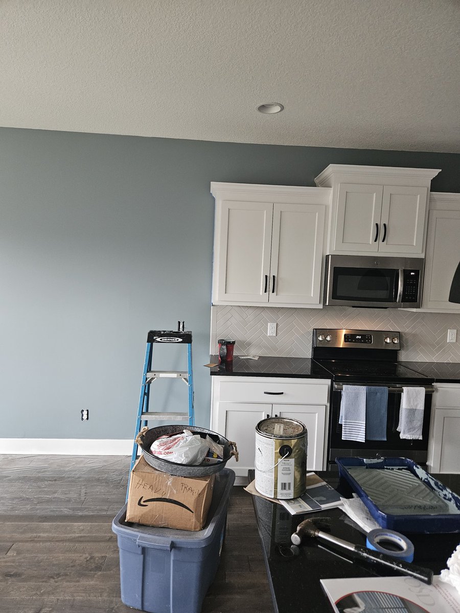 reddleman1968's tweet photo. Painting sucks!  But listening to #GoodbyeHello by @AdamJBerry on Audible rocks!  Great work! https://t.co/O8lYzDlLkS
