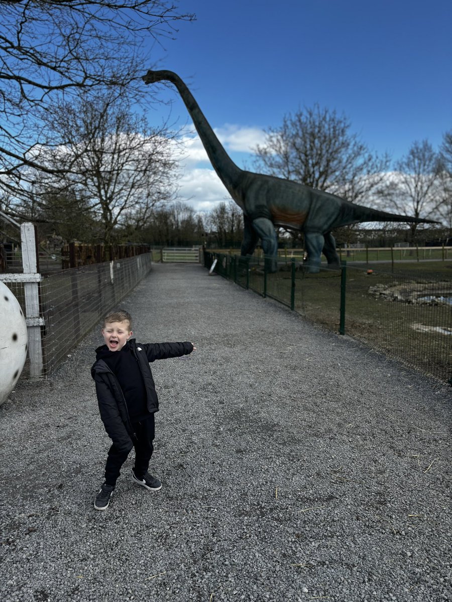 gemmaroseobrien's tweet photo. @NewparkHotel ❤️😍 #dinosaurs #JurassicPark https://t.co/vOXQmBS4u7