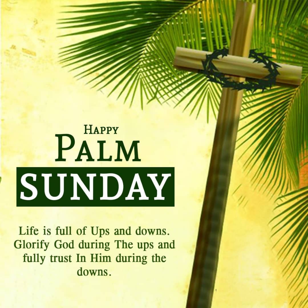 Never underestimate the consequence of sin. Happy palm Sunday .