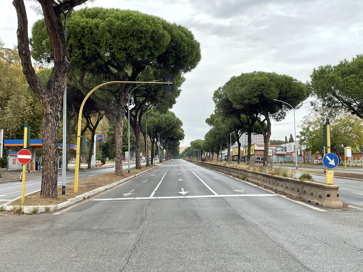 Francesco Valerio Tommasi tweet media