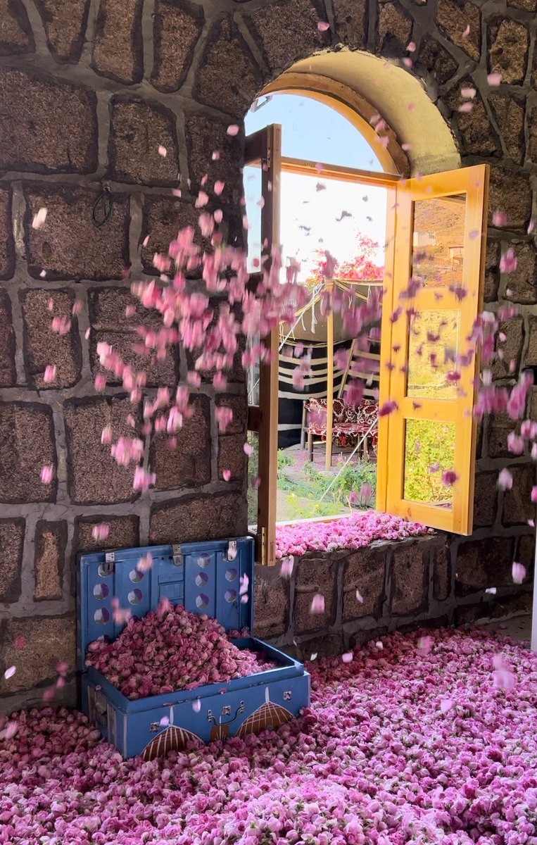 r__af06's tweet photo. بدأ أحلى مواسم الطائف 
موسم الورد الطائفي 🌸 https://t.co/Nz931x5sYA