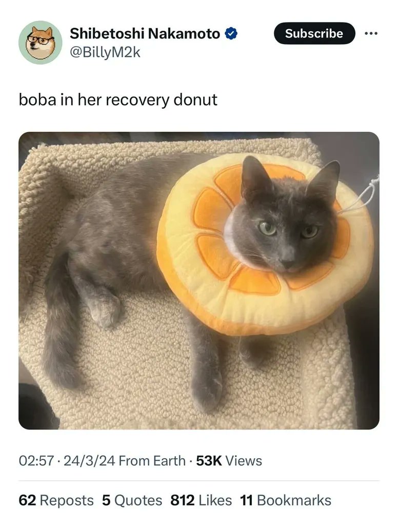 Web3Jedi 🔥🌈🌠📢 tweet media