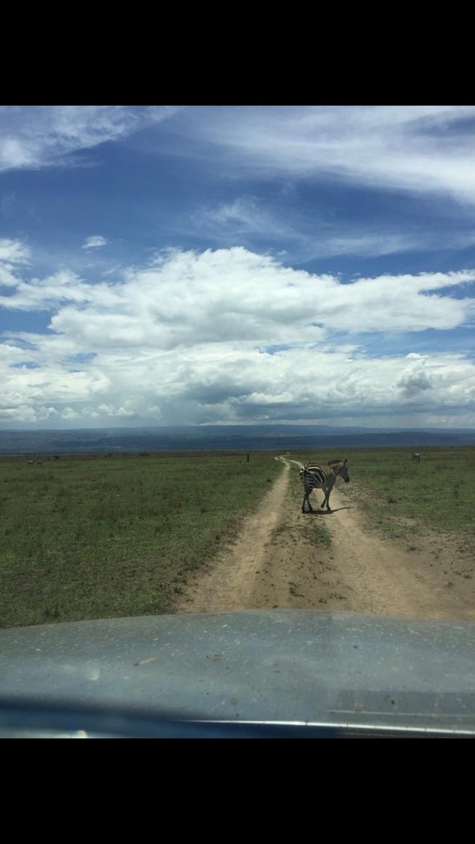 Some of the things I didn’t put in the Pacenotes for The Safari Rally, Kenya
